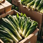 Wskazówki dotyczące przechowywania porów